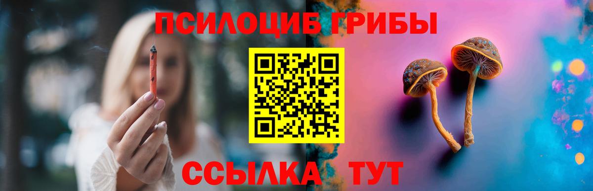 Псилоцибиновые грибы Psilocybine cubensis Ишим